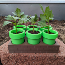 Carregar imagem no visualizador da galeria, kit de vasos Super Mario: Cultive suas Plantas com Estilo! - Decoração
