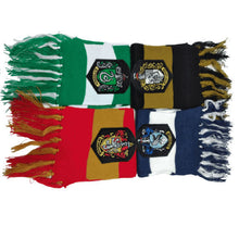 Carregar imagem no visualizador da galeria, Cachecol Harry Potter
